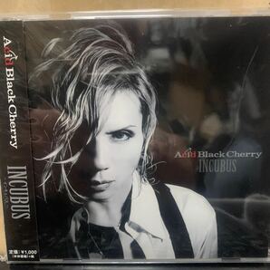 ＩＮＣＵＢＵＳ／Ａｃｉｄ Ｂｌａｃｋ Ｃｈｅｒｒｙ