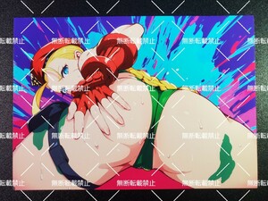 ストリートファイター　キャミィ　D　写真　イラスト　同人　ファンアート　イラストアート