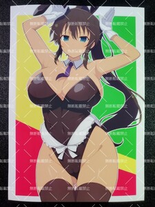 閃乱カグラ　焔　C　写真　イラスト　同人　ファンアート　イラストアート　2L