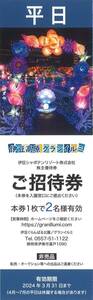 伊豆高原グランイルミ 平日ペアご招待券 