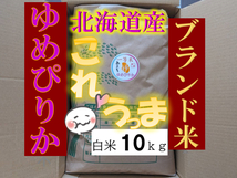 【送料無料】ゆめぴりか　１等米　白米10キロ　特Ａ北海道米　令和５年産　数量限定　農家直送 _画像1