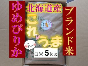 【送料無料】ゆめぴりか　１等米　白米5キロ　特Ａ北海道米　令和５年産　数量限定　農家直送