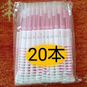 歯科用　歯ブラシ　Ciベーシック　フラット毛 大人用 日本製　20本（ピンク）