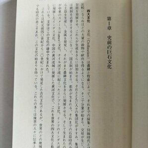 【巨石文化と太陽暦の謎 エジプト・マヤ・インカ・インダス・銅鐸 古代農民と海人の道】 藤芳義男 昭和56年の画像5