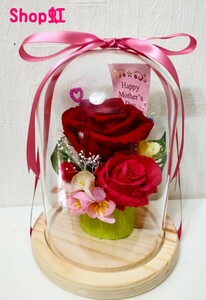  last SALE* Mother's Day gift * preserved flower * glass dome * limited amount * one point thing * present * flower * popular 