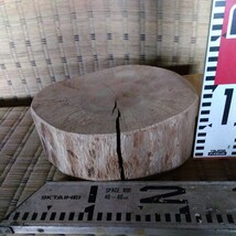 楢の木（ナラ）の小さい薪割り台③　直径20㎝前後　高さ８㎝（多少の誤差有り、真っ平らでは有りません）重さ2.0㎏ 発送はおてがる配送_画像1