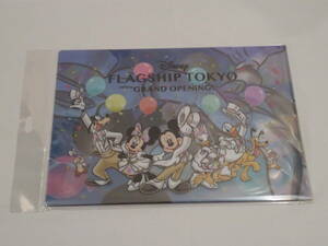 Disney FLAGSHIP TOKYO GRAND OPENING ディズニー クリアファイル ミッキー ミニー ドナルド デイジー グーフィー プルート チップ デール