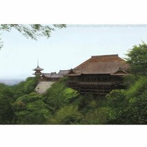 【GINZA絵画館】吉田伊佐　油絵１５号「新緑の清水寺」京都・リアリズム人気作家・１点もの　S43F9F0H8J5B7V_画像3