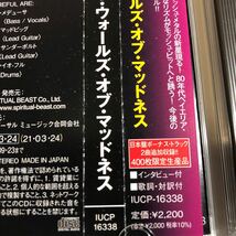 帯付 アイアフル/ザ・ウォールズ・オブ・マッドネス CD_画像6