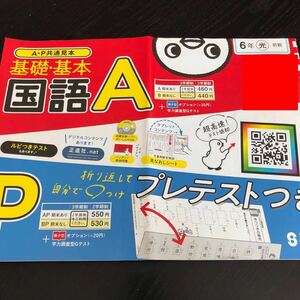 2495 基礎基本国語A 6年 正進社 小学 ドリル 問題集 テスト用紙 教材 テキスト 解答 家庭学習 計算 漢字 過去問 ワーク 勉強 非売品