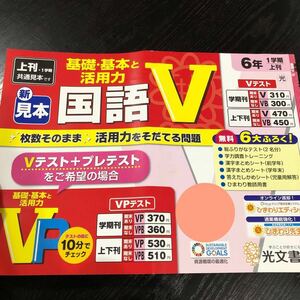 2503 国語V 6年 光文書院 小学 ドリル 問題集 テスト用紙 教材 テキスト 解答 家庭学習 計算 漢字 過去問 ワーク 勉強 非売品み