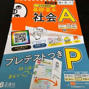 2519 基礎基本社会A 6年 正進社 小学 ドリル 問題集 テスト用紙 教材 テキスト 解答 家庭学習 計算 漢字 過去問 ワーク 勉強 非売品