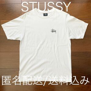 STUSSY ステューシー ショーンフォント ビッグロゴ ラスタ ss link ワールドツアー 8ボール