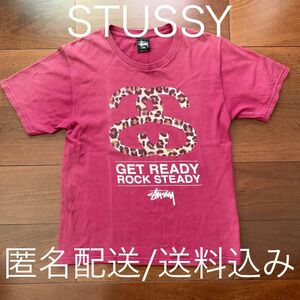 STUSSY ステューシー エンジ SS link アニマル ビッグロゴ ラスタ