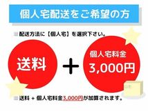 【即決! 即日発送可】バモス HM1 純正 ★無事故 ストラット 1台分 サス ショック アブソーバー 板バネ リーフスプリング 中古 11747_画像9