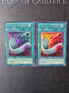 遊戯王　ハーピィの羽根帚　P5-02 ウルトラ　2枚セット　遊戯王デュエルモンスターズ　KONAMI