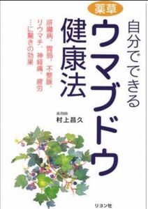 馬ぶどう　野ぶどう