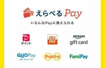 ◆ ダイドー 選べるPay 応募シール１２０枚 ◆_画像3