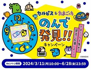 ◆ カルピス＆たまごっち のんで発見 キャンペーン 応募シール ９６枚 ◆