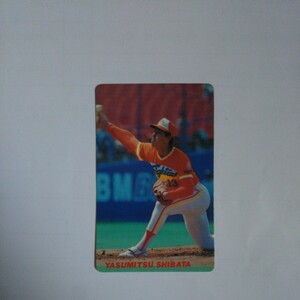  Calbee Professional Baseball card Shibata guarantee light 90 year 