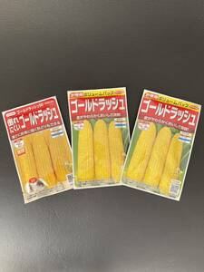 2024年2月入荷 とうもろこし種 ボリュームパック 3パックセット 3300円相当 ゴールドラッシュ倒れにくい トウモロコシ 家庭菜園