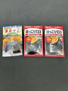 2024年3月入荷 かぼちゃ3袋セット ホクホクかぼちゃ栗みやこ＆ほっこり133 2300円相当 種 タネ