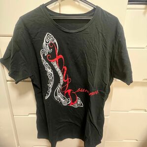 XYZ 2018 ライブTシャツ　ペンライトセット