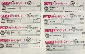 6年　理科　カラーテスト　解答　大日本図書　明治図書