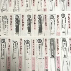 4年　国語　カラーテスト　解答　光村図書　光文書院