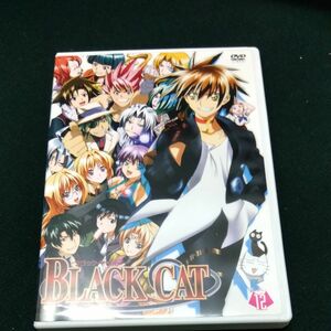 ＢＬＡＣＫ ＣＡＴ Ｖｏｌ．１２／矢吹健太朗 （原作） 近藤隆 （トレイン＝ハートネット） 藤原啓治 （スヴェン＝ボルフィード）