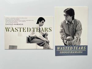 浜田省吾　＂WASTED TEARS” 1989年メモリアルポストカード2枚