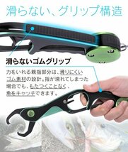 【送料185円】フィッシュグリップ 緑 グリーン ロングタイプ 大物にも ケース付 25cm 軽量アルミ合金 フィッシンググリップ Apix-midori_画像3