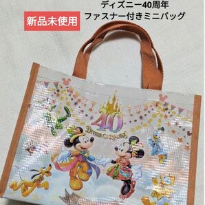 【新品未使用】ディズニー40周年 ファスナー付きミニバッグ