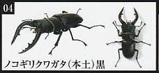 いきもの大図鑑 くわがた06 ノコギリクワガタ(本土)黒 1種単品