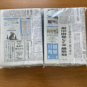 新聞紙　25日分