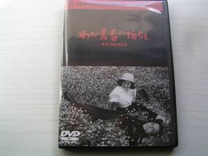 ★名作！わが青春に悔いなし　黒澤明監督・レンタル版ＤＶＤ中古品・通常トールケース・2点以上落札で送料無料！