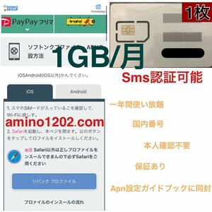 国内番号　一年間使い放題　プリペイドSIM データ通信　1GB/月SMS受信可能 