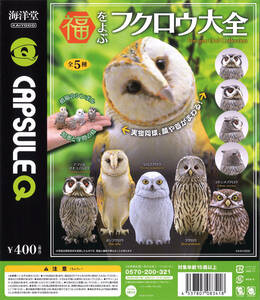 即決 送140円~海洋堂 福をよぶ フクロウ大全 第1弾 全5種 カプセルQミュージアム コキンメフクロウ メンフクロウ シロフクロウ フィギュア 