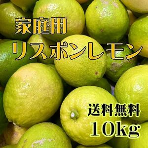 減農薬 熊本県産 リスボン レモン 家庭用10kg 送料無料