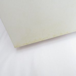 京都西川 Star Candle 綿毛布 花柄 約140×200センチ 家庭での洗濯可 シングルサイズ クリーム色の画像6