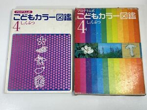 プログラム式 こどもカラー図鑑 4 しょくぶつ 講談社　昭和46年【z72206】