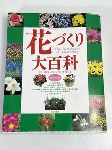  color photograph 3000 point! flower ... large various subjects ... . company 1995 year Heisei era 7 year [H72726]