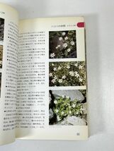 高山植物入門　　見分け方と写し方/　白籏史朗　/　山と渓谷社　　1980年 昭和55年【H72780】_画像4