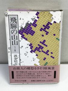 酒井昭市　　飛騨の山山 ヤブ山編　ナカニシヤ出版発行　1990年 平成2年　初版【H72953】