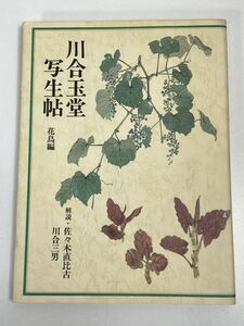 川合玉堂写生帖　山水編　解説：佐々木直比古　グラフィック社　1995年 平成7年【H73543】