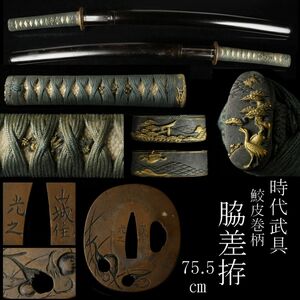 【LIG】時代武具 脇差拵 75.5㎝ 鮫皮巻柄 龍図目貫 松鳥図縁頭 山城住光之 茄子図鍔 外装 刀装具 [.WE]24.2