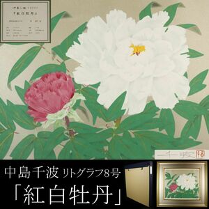 【LIG】真作保証 中島千波 「紅白牡丹」 リトグラフ8号 タトウ箱 29／50 コレクター収蔵品 [.QT]24.2