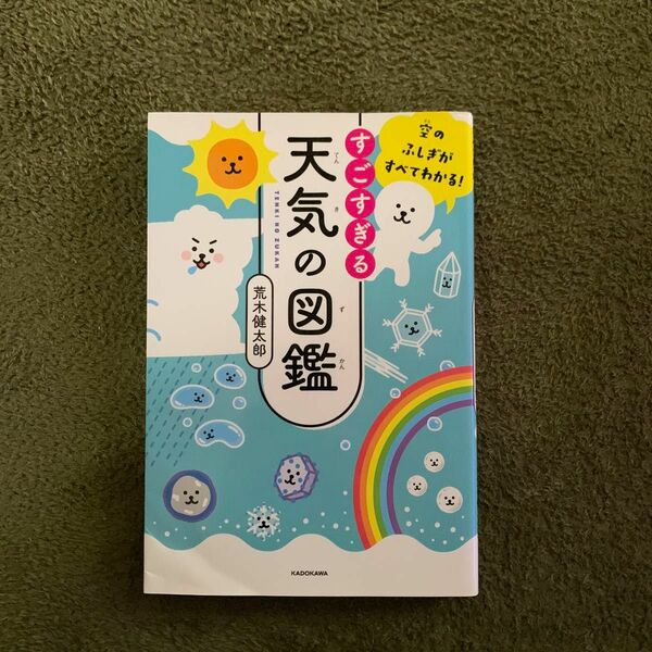 すごすぎる天気の図鑑　空のふしぎがすべてわかる！ （空のふしぎがすべてわかる！） 荒木健太郎／著