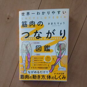 筋肉のつながり図鑑