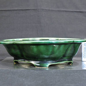 駿河政山 盆栽鉢 奥行15.6cm 横幅18cm 高さ5.2cm